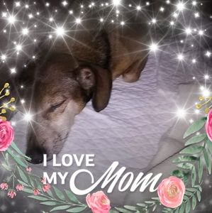 Meet your Posher, Karla ruth